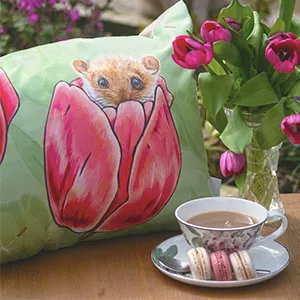 Fox and Boo Dormouse Cushion